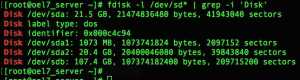How to use FDISK in Linux to partitioning the disks