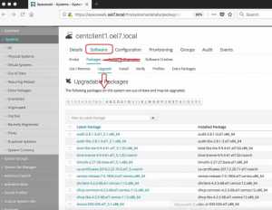 How to install and register Linux clients with Spacewalk server 2.8 9